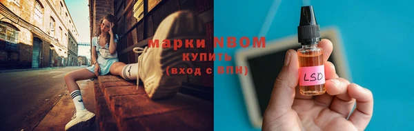 стафф Дмитриев
