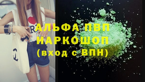 стафф Дмитриев
