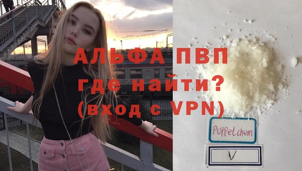 стафф Дмитриев